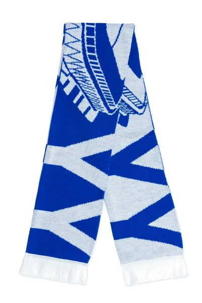 Schal Stadion blau-weiß