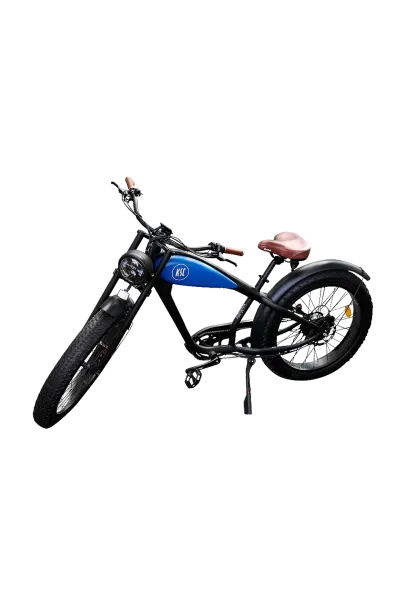 E-Bike Coffeecruiser KSC